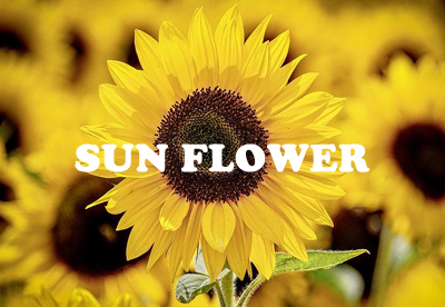 MONTHLY FLOWER